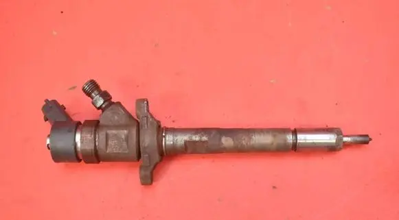 Ford Focus C-MAX Fuel injector 0445110239