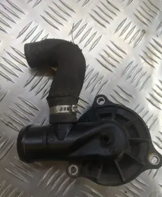 Thermostat/thermostat housing