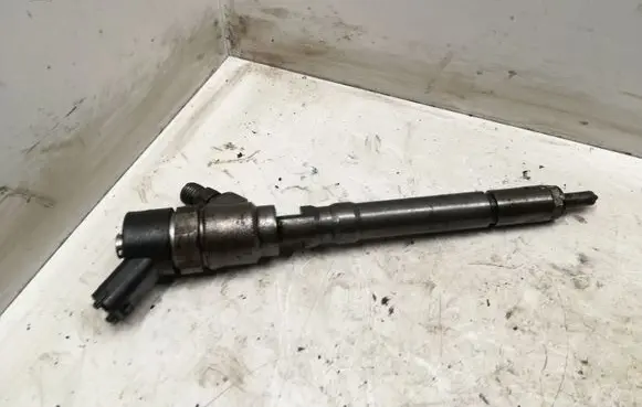 Hyundai Santa Fe Fuel injector 0445110064