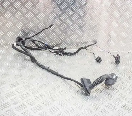 Tesla Model 3 Other wiring loom 206796600A
