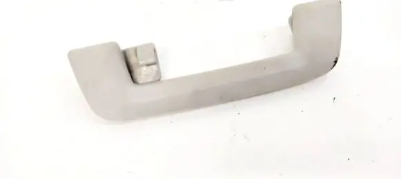Ford Focus Rear interior roof grab handle