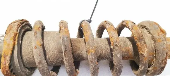 Honda FR-V Rear coil spring