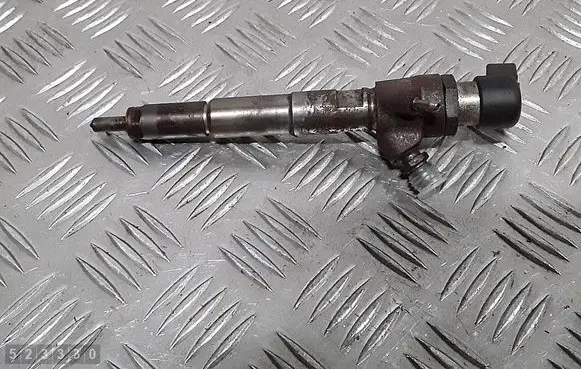 Dacia Duster Fuel injector H8200704191 8200903034