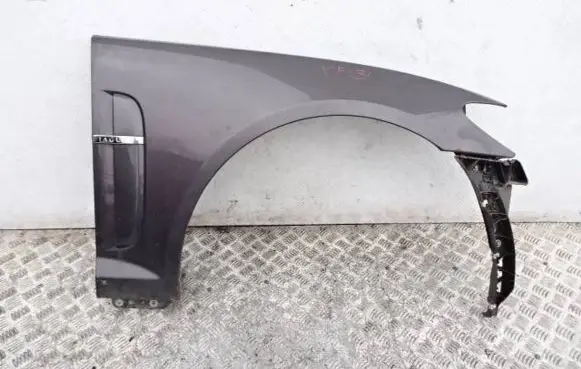 Jaguar XF X250 Fender