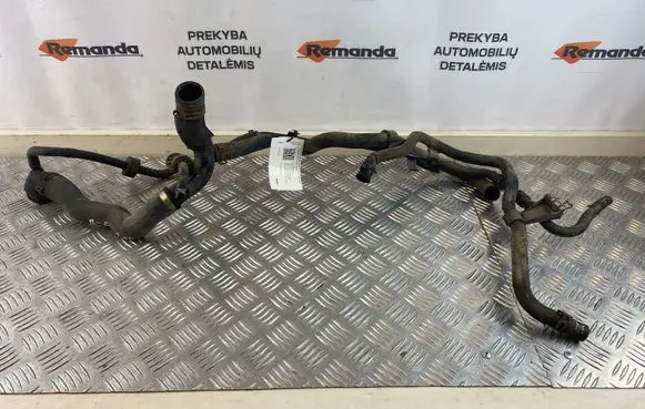 Volkswagen PASSAT B6 Engine coolant pipe/hose 3C0122291D