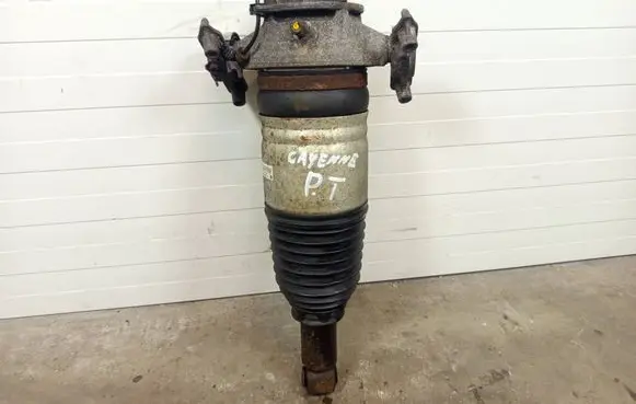 Porsche Cayenne (92A) Rear shock absorber/damper 7P5616020AK 15140011704 121219020635