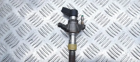 Peugeot 5008 Fuel injector 9674973080