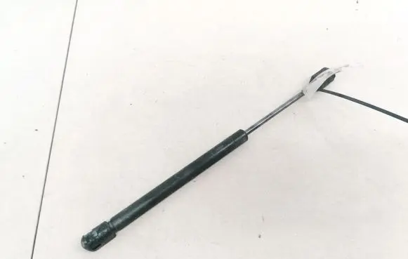 Chrysler 300 - 300C Front bonnet/hood damper/strut 24359