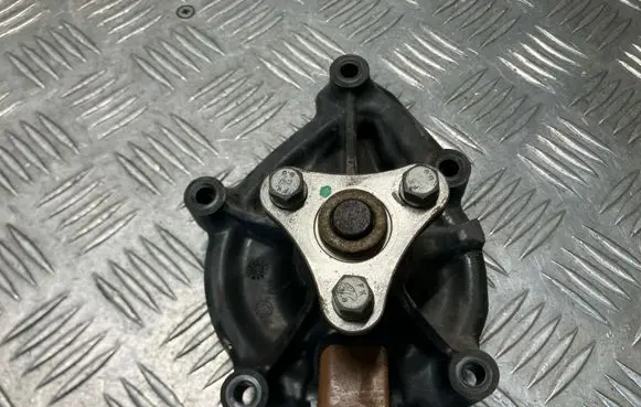 Peugeot 207 Water pump 
