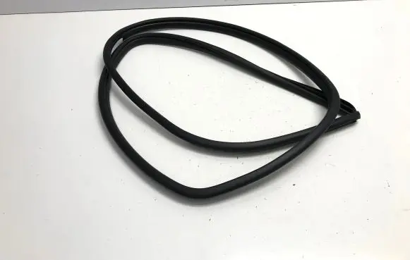 Toyota bZ4X Rear door rubber seal (on body) 