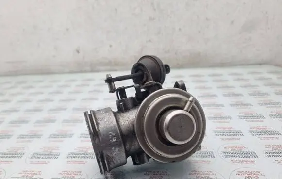 Volkswagen Golf IV EGR valve 038131501T 038129637L