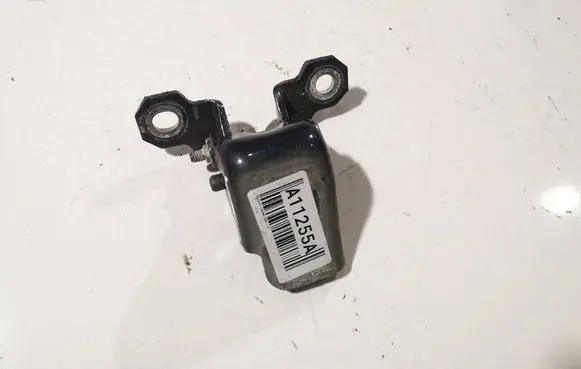 Renault Laguna III Rear door lower hinge 