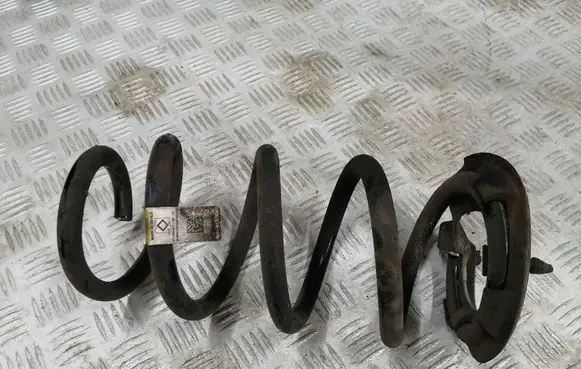 Tesla Model 3 Rear coil spring 104447200H