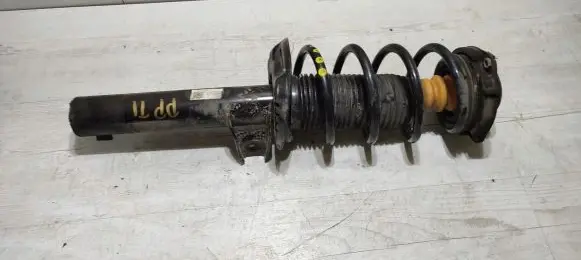 Volkswagen Tiguan Front shock absorber with coil spring 5NQ513Q31