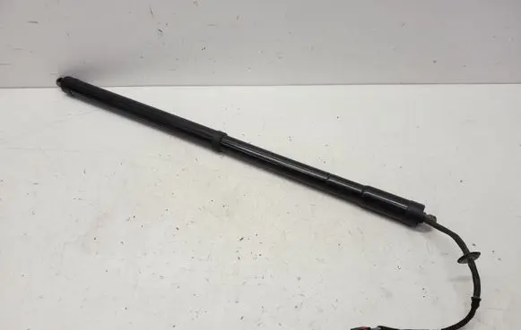 Ford C-MAX II Tailgate/trunk strut/damper AM51R404C85AD