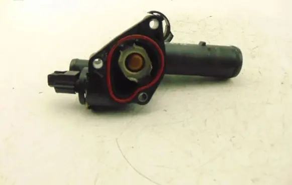 Renault Megane I Thermostat housing 