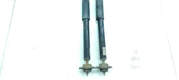 BMW X1 E84 Rear shock absorber/damper 6855243