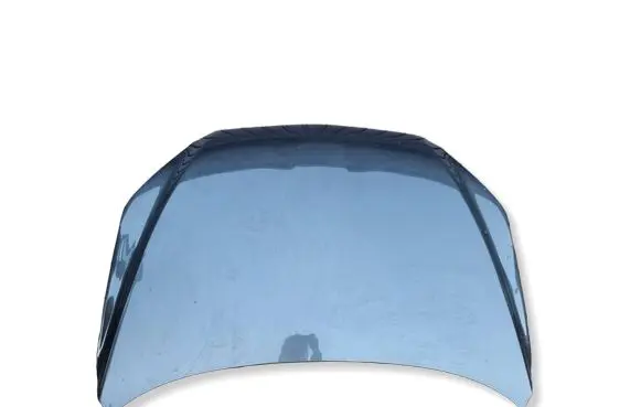 Toyota RAV 4 (XA30) Engine bonnet/hood 