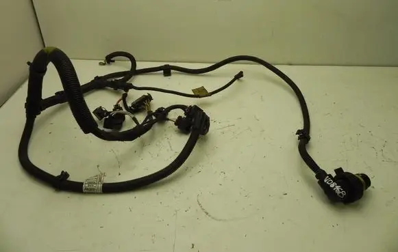 Engine installation wiring loom