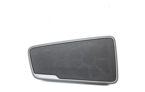 Dash center speaker trim cover
