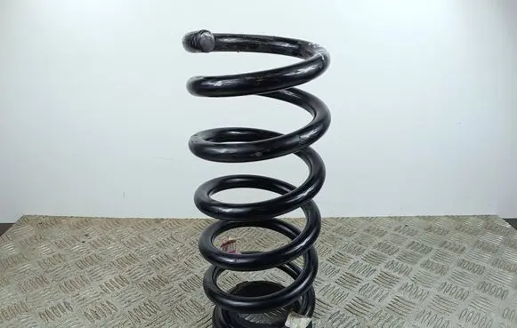Rear coil spring