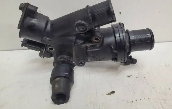 Thermostat/thermostat housing