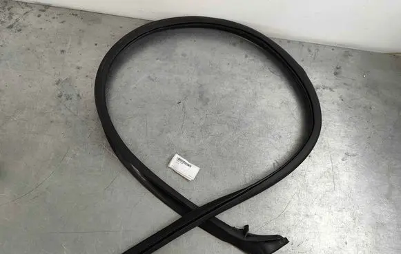Renault Zoe Front door rubber seal 768610364R