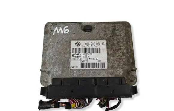 Seat Leon (1M) Engine control unit/module 036906034 6160131501