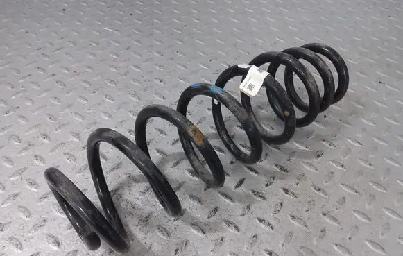 Rear coil spring