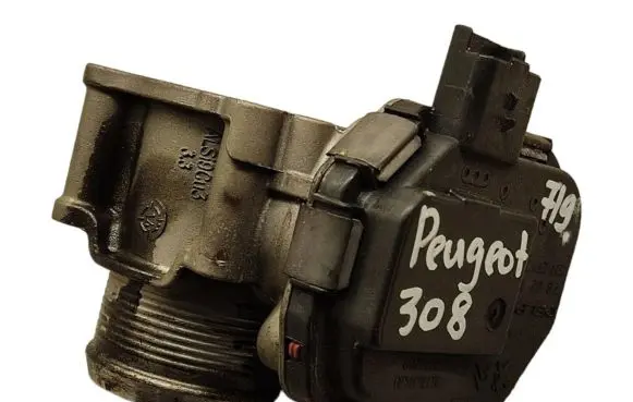 Peugeot 308 Throttle valve 9673534480 28275019