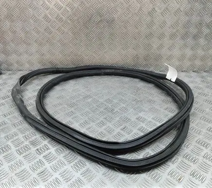 Opel Vivaro Rubber seal front coupe door 9806514880