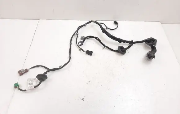 Cadillac Escalade IV Rear door wiring loom 84305350