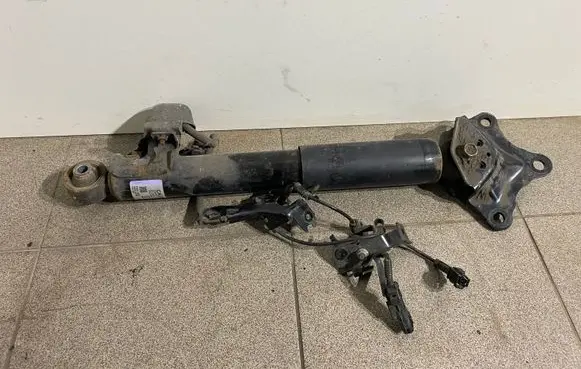 Lexus RX 450H Rear shock absorber/damper 4854048392 HA3060106B 1531169
