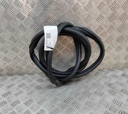 KIA EV6 Rubber seal front coupe door 82110CV000