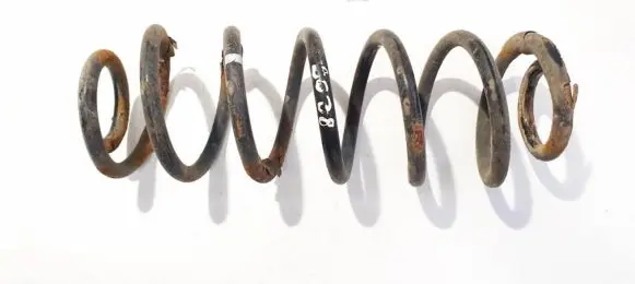 Volkswagen PASSAT B6 Rear coil spring
