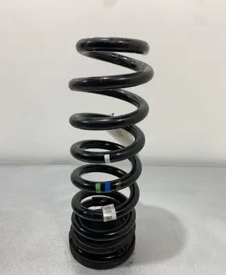 Jaguar F-Pace Rear coil spring HK835534CC