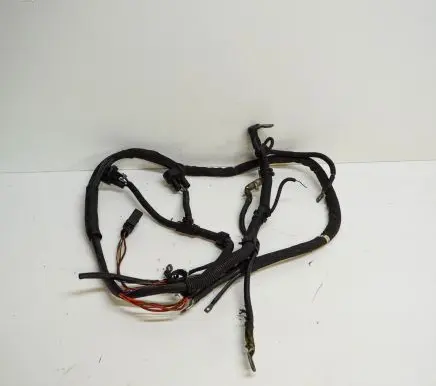 Audi A5 8T 8F Other wiring loom 8K0971228B