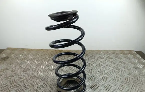 MG ZS Rear coil spring