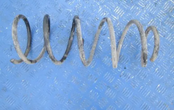 Peugeot 406 Front coil spring