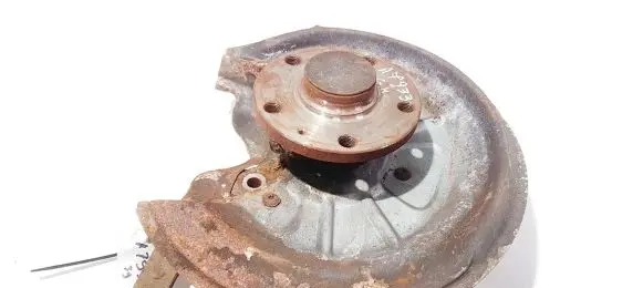 Skoda Octavia Mk2 (1Z) Rear wheel hub didzioji