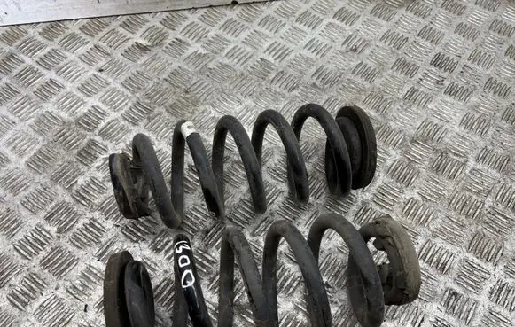Rear coil spring