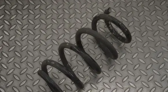 Tesla Model Y Rear coil spring 118847400B