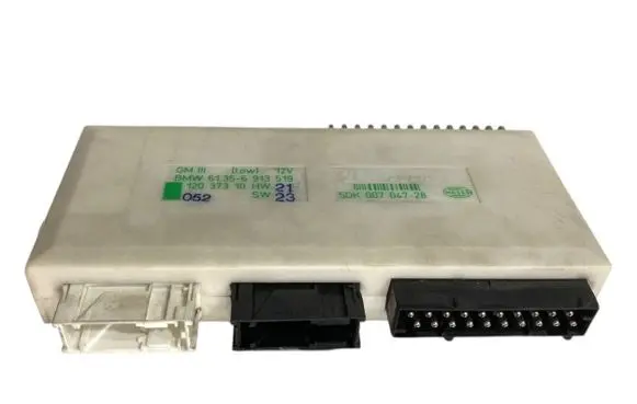 BMW 5 E39 Comfort/convenience module 6913519 61356913519