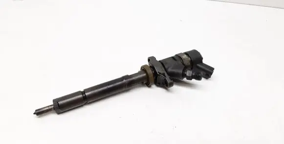 Citroen C5 Fuel injector 0445110259