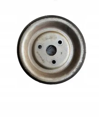 Citroen C4 I Water pump pulley 754595880