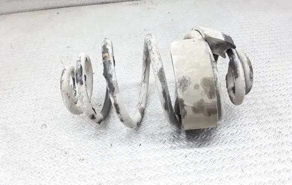 Volkswagen PASSAT B5.5 Rear coil spring