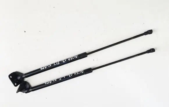 Tailgate/trunk strut/damper