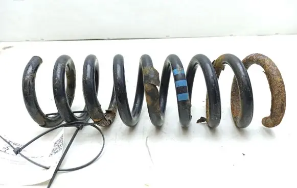 Rear coil spring