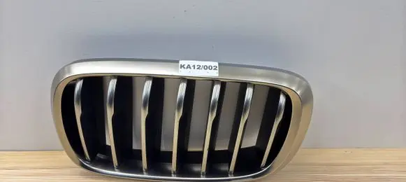 BMW X6 F16 Front grill 51137349387
