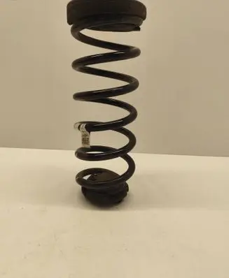 Rear coil spring